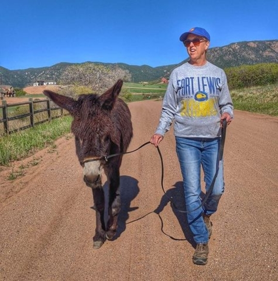 Meet your Posher, Julie - Picture 1 of 1